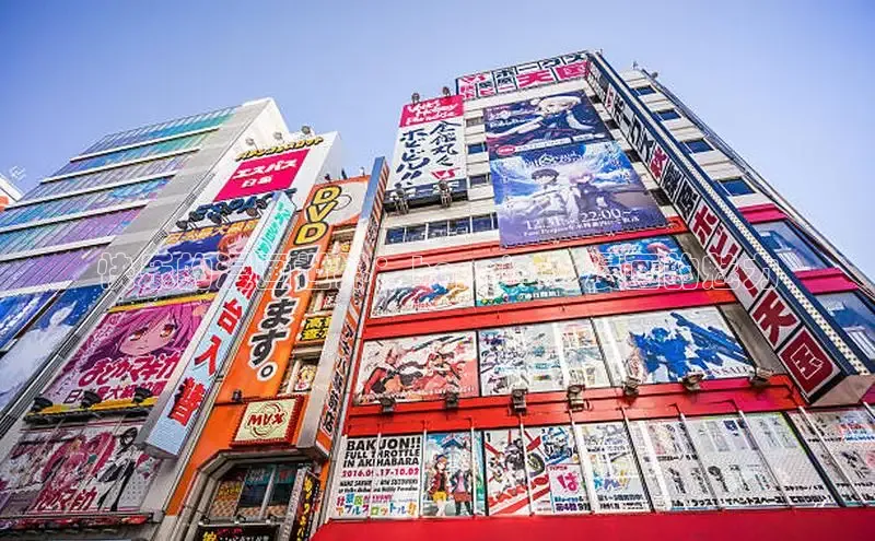 樱花动漫官方入门网站2026最新